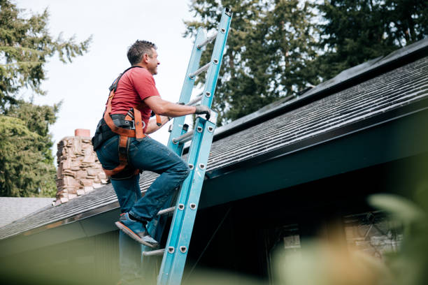 Best Roof Leak Repair  in Kalamazoo, MI